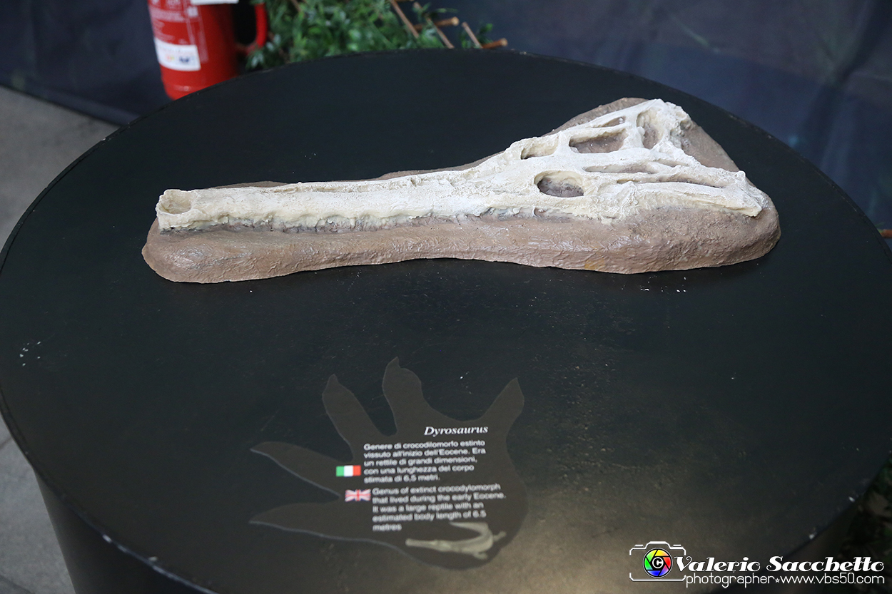 VBS_0953 - Dinosauri. Terra dei giganti.jpg